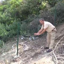 Encuentran más huesos de mujer en la finca en la que se encontró la calavera y una maleta
