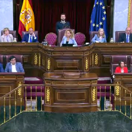 Momento delicado esta mañana en el Congreso al desmayarse una diputada en el hemiciclo