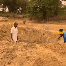 Un árbol por cada año de vida
