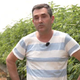 Freseros de Huelva, en conflicto por el agua: "Que nos den el agua o una alternativa"