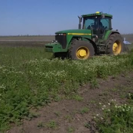 Los campos minados suponen un riesgo para la cosecha ucraniana