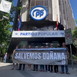 Vídeo | Ecologistas protestan frente a la sede del PP para denunciar las "nefastas" políticas en Doñana