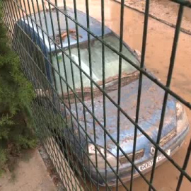 Las consecuencias de las lluvias: daños materiales y alivio en el campo