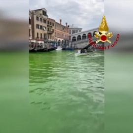 Las aguas del Gran Canal de Venecia aparecen teñidas de verde