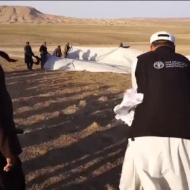 Una plaga de langostas pone en alerta la agricultura en Afganistán