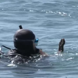 Lucha contra la 'basuraleza' en mares y océanos