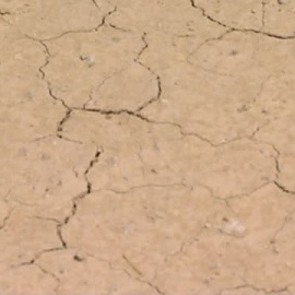 La Fiscalía de Murcia pide tres años de cárcel a los responsables de una empresa por la muerte de un trabajador por un golpe de calor