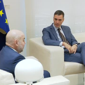 Sánchez se compromete con el CERMI a impulsar la agilización de la tramitación parlamentaria de la reforma del artículo 49 de la Constitución