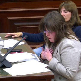 El PSOE no consigue sacar adelante sus enmiendas para la 'ley trans'