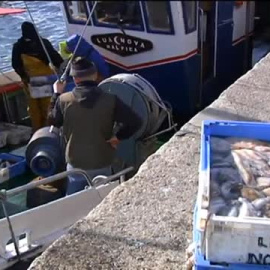 España aumenta las cuotas de pesca en el Atlántico, pero tiene que reducir los días de faena en el Mediterráneo  