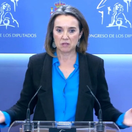 Gamarra (PP) defiende a los magistrados del Constitucional: "Están en funciones y están legitimados"