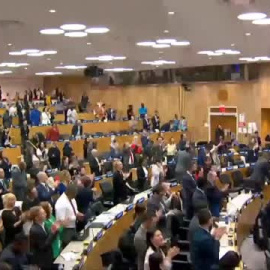 Acuerdo histórico en la ONU para salvaguardar al menos un 30 por ciento de los océanos en 2030