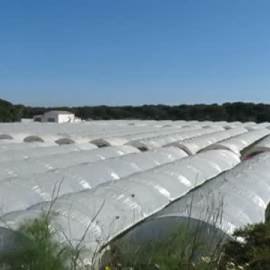 El Gobierno prevé recurrir la ley andaluza sobre Doñana ante el Constitucional