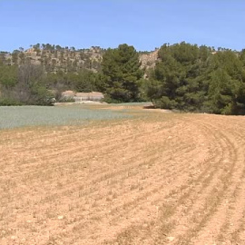 Agricultura convoca de urgencia a Cooperativas agroalimentarias, comunidades de regantes y autonomías ante la preocupante sequía 