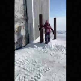 Una familia se reencuentra con su perro perdido en Alaska 