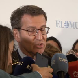 Feijóo cree que al Gobierno le "sobra soberbia y le faltan soluciones" en Doñana 