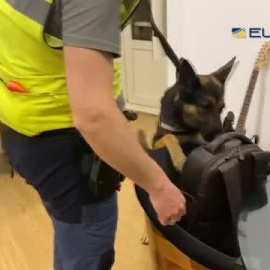 La Policía Nacional desarticula un grupo criminal que simulaban ser miembros de las fuerzas de seguridad para cometer asaltos