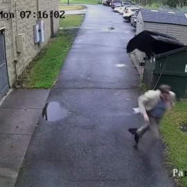 Se encuentra un oso en el contenedor cuando va a sacar la basura 