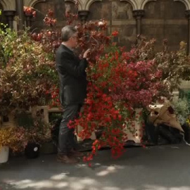 Último ensayo de Carlos III antes del gran día