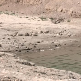 La sequía hunde los negocios acuáticos en ríos y pantanos