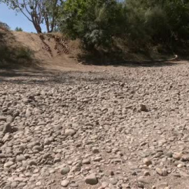 Las Hermandades de El Rocío no entran en la "guerra del agua"