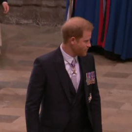 Los invitados a la coronación: una wikipedia de historia, poder y fama