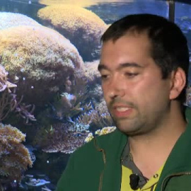 Día de los Océanos. En 2050 habrá más toneladas de plástico que peces en el mar