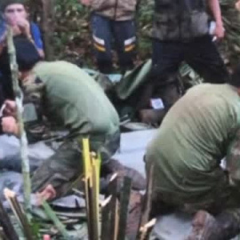 El milagroso rescate de los cuatro hermanos en la selva colombiana