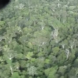 Habla el padre de los niños desaparecidos durante un mes en la selva de Colombia