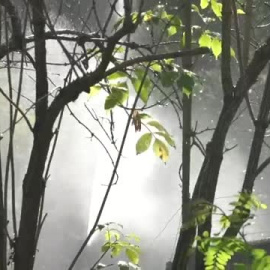 Fruta congelada, piscinas y aire acondicionado para los animales del zoo de Roma