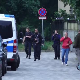 Alarma en Berlín por una leona suelta