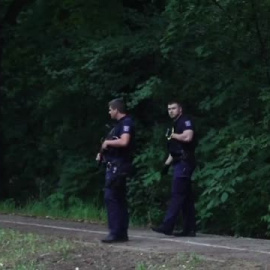 Las autoridades dicen que la leona de Berlín es ahora un jabalí