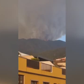 Las llamas en Tenerife arrasan las cumbres de Candelaria y Arafo
