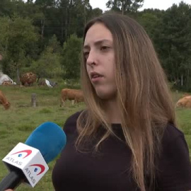 Solo el 3% de los dueños de las explotaciones agrícolas y ganaderas tiene menos de 35 años