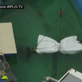 Muere la orca Lolita tras 50 años de cautividad y en mitad de la lucha por liberarla