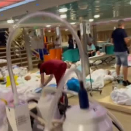 Grecia continúa en alerta por los numerosos incendios forestales