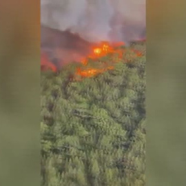 Tras una lucha durísima, los servicios de extinción en Tenerife se muestran esperanzados