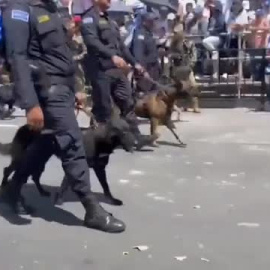 Los salvadoreños celebran la independencia y marchan contra la posible reelección de Bukele