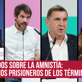 Esto es lo que opinan los partidos sobre los avances hacia la amnistía