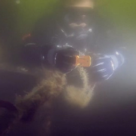 Un grupo de buzos en Nueva York ayuda a limpiar de basura el fondo marino