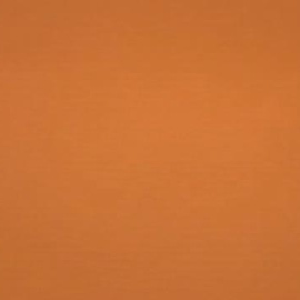 El cohete español 'Miura 1', lanzado con éxito desde Huelva