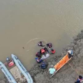 Laborioso rescate de 24 delfines que quedaron varados en una laguna en Bolivia