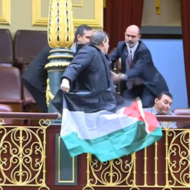 Así ha sido el momento en el que activistas han desplegado banderas palestinas en el Congreso durante la comparecencia de Albares