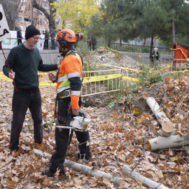 "Es una salvajada ilegal": vecinos de Madrid se plantan contra la tala masiva de árboles de Ayuso y Almeida