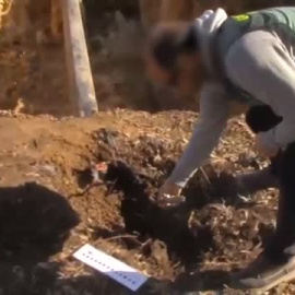 Cuatro detenidos en Sevilla por pinchar oleoductos para robar combustible