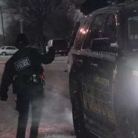 La policía de Dallas investiga varias extrañas desapariciones del zoo de la ciudad