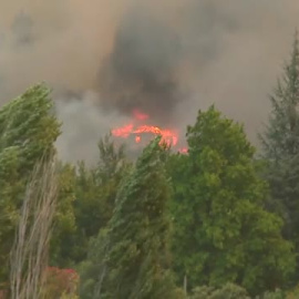 Siete muertos en los incendios que asolan Chile