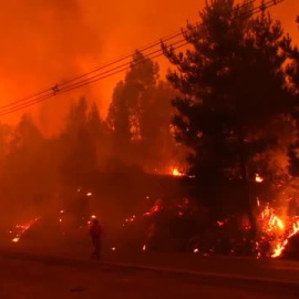Los incendios forestales siguen avanzando sin control en Chile 