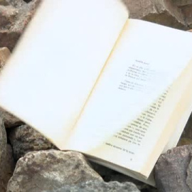 La aldea soriana de Sarnago vuelve a la vida y sus vecinos convierten el antiguo lavadero municipal en una biblioteca