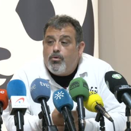 WWF cifra en 1.900 las hectáreas de cultivo que podrían legalizarse con la Ley sobre Doñana